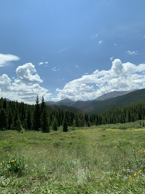 Nevada @saltlake cover picture