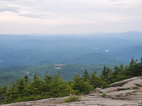 Kreighton @saltyfoxx cover picture