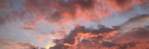 Samantha Reagan @samanthaareagan cover picture