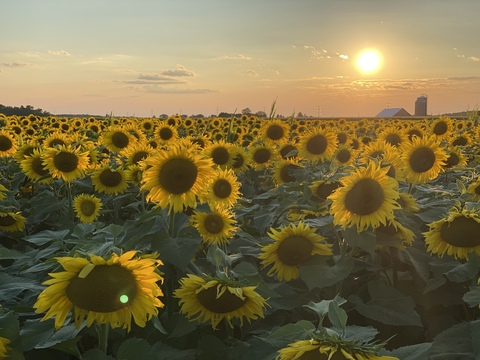 Samantha Jo @samisweetie cover picture