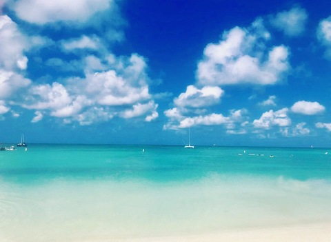 sammysweetheart @sammysweetheart cover picture