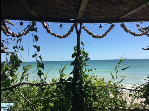 SandraGoldie @sandragoldie cover picture