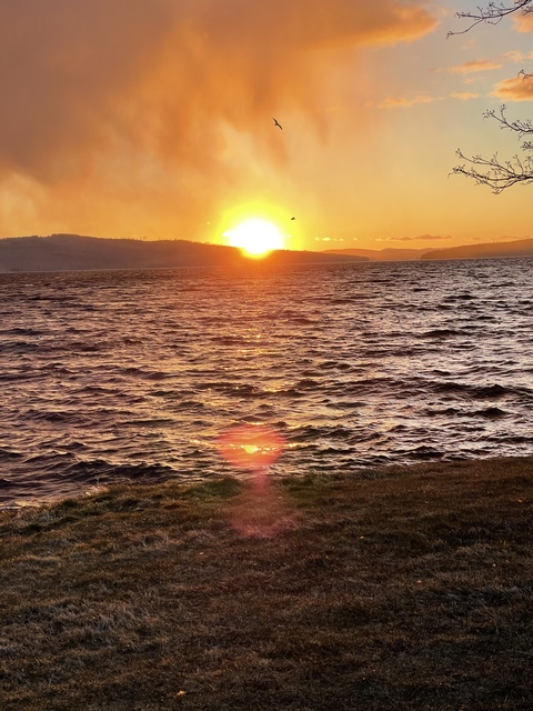 Sanna @sanna12 cover picture