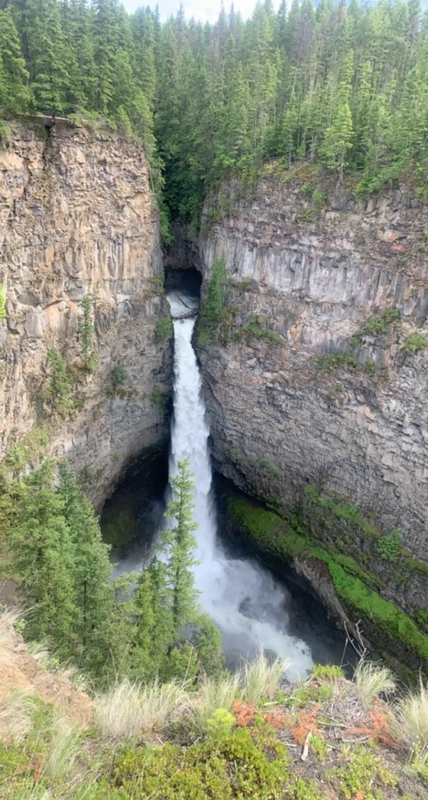 Sara Schmidt @sarabaer143 cover picture