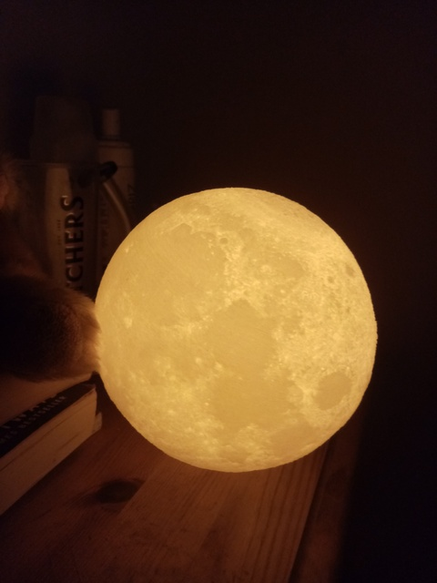 Sarah @sarah-mariemoonx cover picture