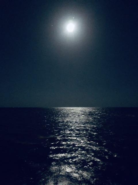 sarah @sarah1922 cover picture