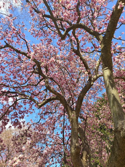 Sarah @sarahbutter cover picture