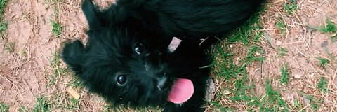 . @saralis cover picture