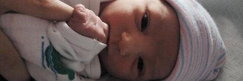 sarbear @sarbear__x cover picture