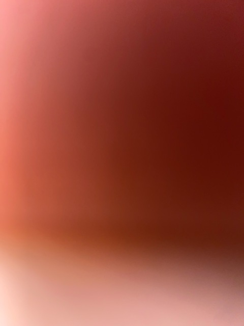 $asharedd @sasha.red cover picture