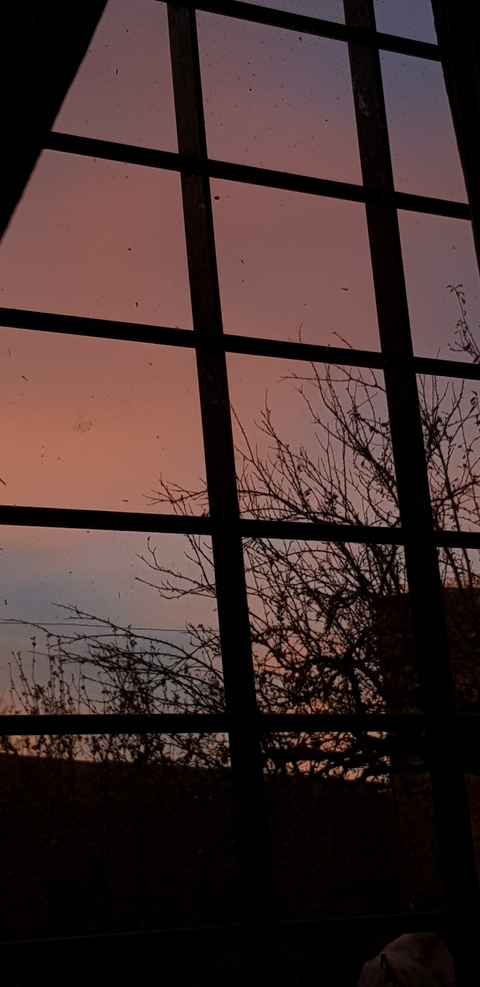 Sasha @sashawonder cover picture