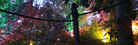 Saskia @sassiassi cover picture