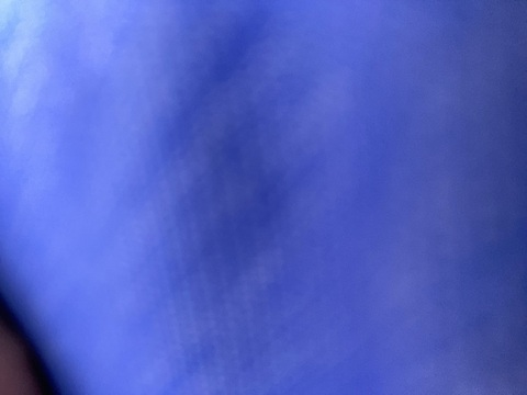 SassyKat @sassykat22 cover picture