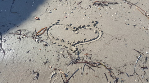 Sam @sassysam cover picture