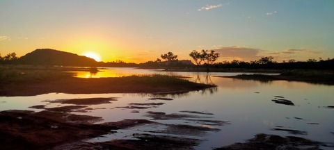 Satanicmermaid @satanicmermaid cover picture