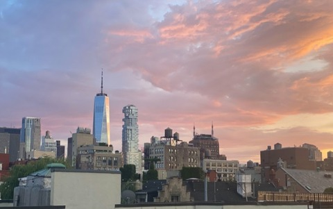 leo @saturn15 cover picture