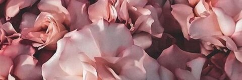 Savasha @savasha cover picture