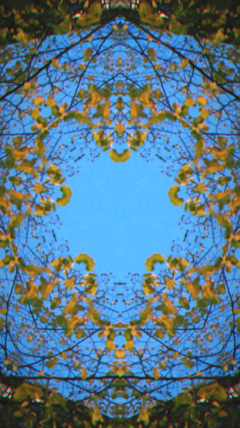 NipsRUs @saveher cover picture