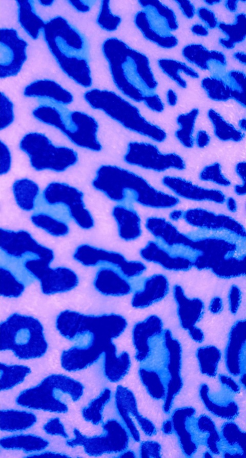 Savvy @savvykattt cover picture