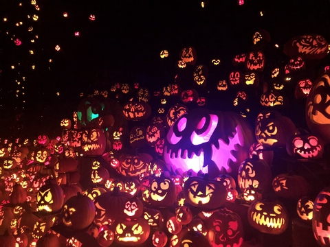 Scarlett Blair @scarlettblair cover picture