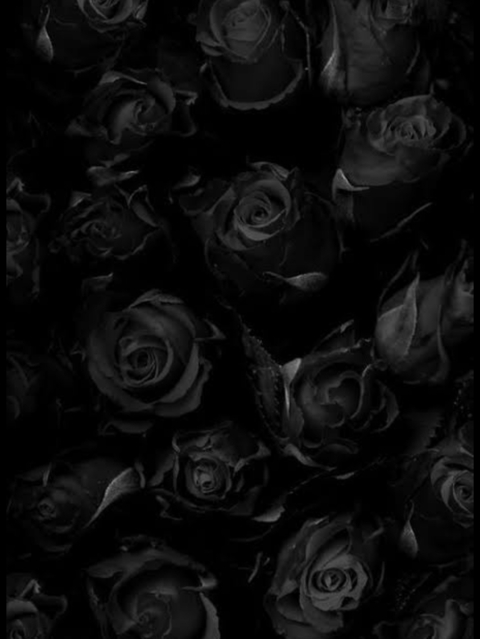 Tabitha @scarlettfever92 cover picture