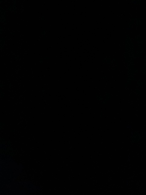 tina @schaeferr cover picture