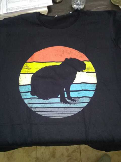 🌙🔮✨ Selena ✨🔮🌙 @selenasbedroom cover picture