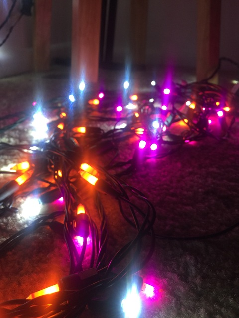 Celese @sexyartist cover picture