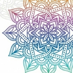 shaebits Profile Picture