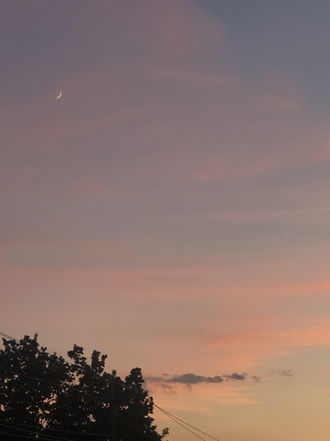 ShaniceSoPaid @shanicesofine cover picture