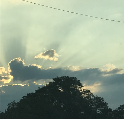 Shann Leigh @shanndog98 cover picture