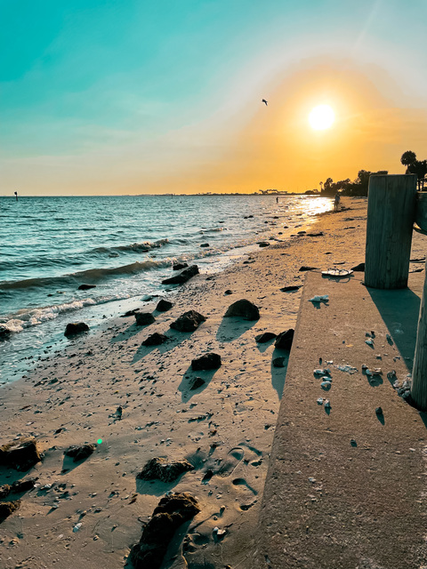 Shannon @shannnma cover picture