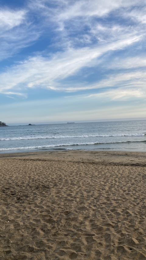 Sharine @sharine cover picture