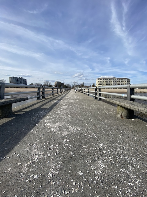 Vanilla @shawdyy cover picture