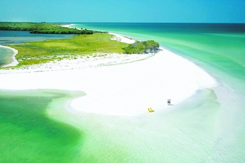 ShayDay @shayday cover picture