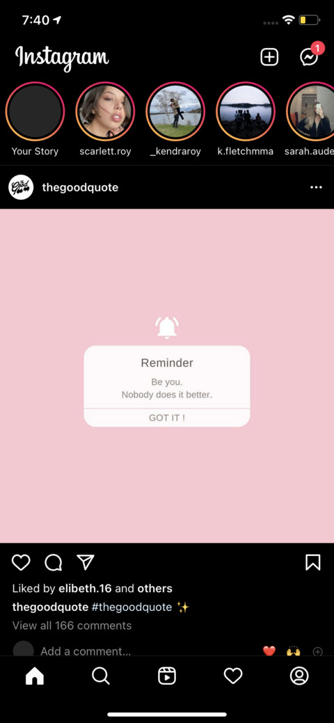 ✨Shel-Bae✨ @shel-bae cover picture