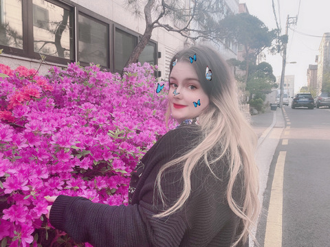 shelli @shellii cover picture