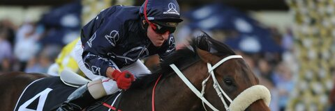 Sheriff Iskander @sheriffiskander cover picture