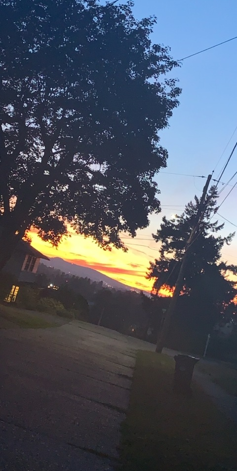 Shishi90 @shi-fyrecracker90 cover picture