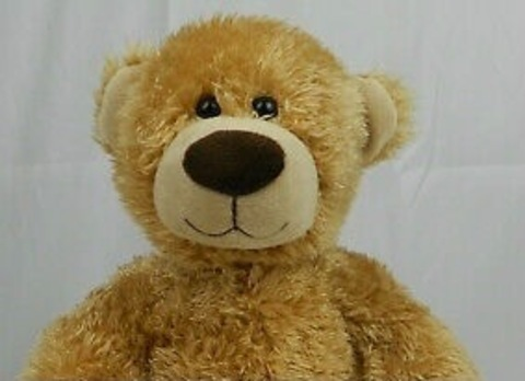 Shiny Bear @shiny_bear85 cover picture