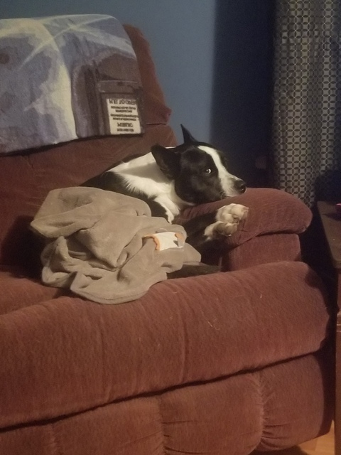 Shraderpops @shraderpops cover picture