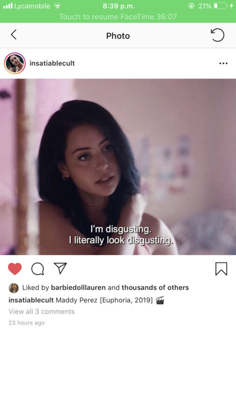 sibbly! @sibblydibbly cover picture