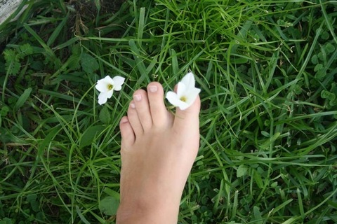 Sierra Verde @sierraverde cover picture