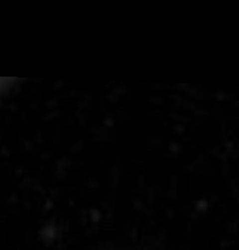 Bunny @silverbxnny cover picture