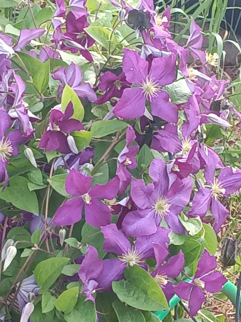 Silverider40 @silverider40 cover picture