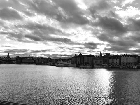 Sisu1098 @sisu1098 cover picture