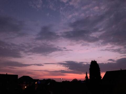 Skye Lou @skyelou cover picture