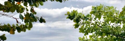 Lydia @slap_tastik cover picture