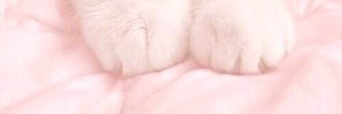 ♡ @sluttyrules cover picture