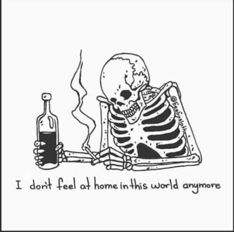 Small Baby @smallbaby cover picture